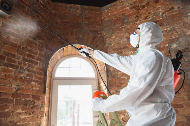 Highland On The Lake, NY Mold Removal & Remediation Company